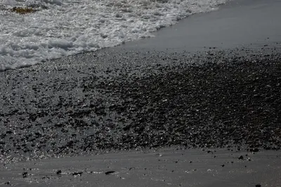 DSC_2276 (Large).JPG